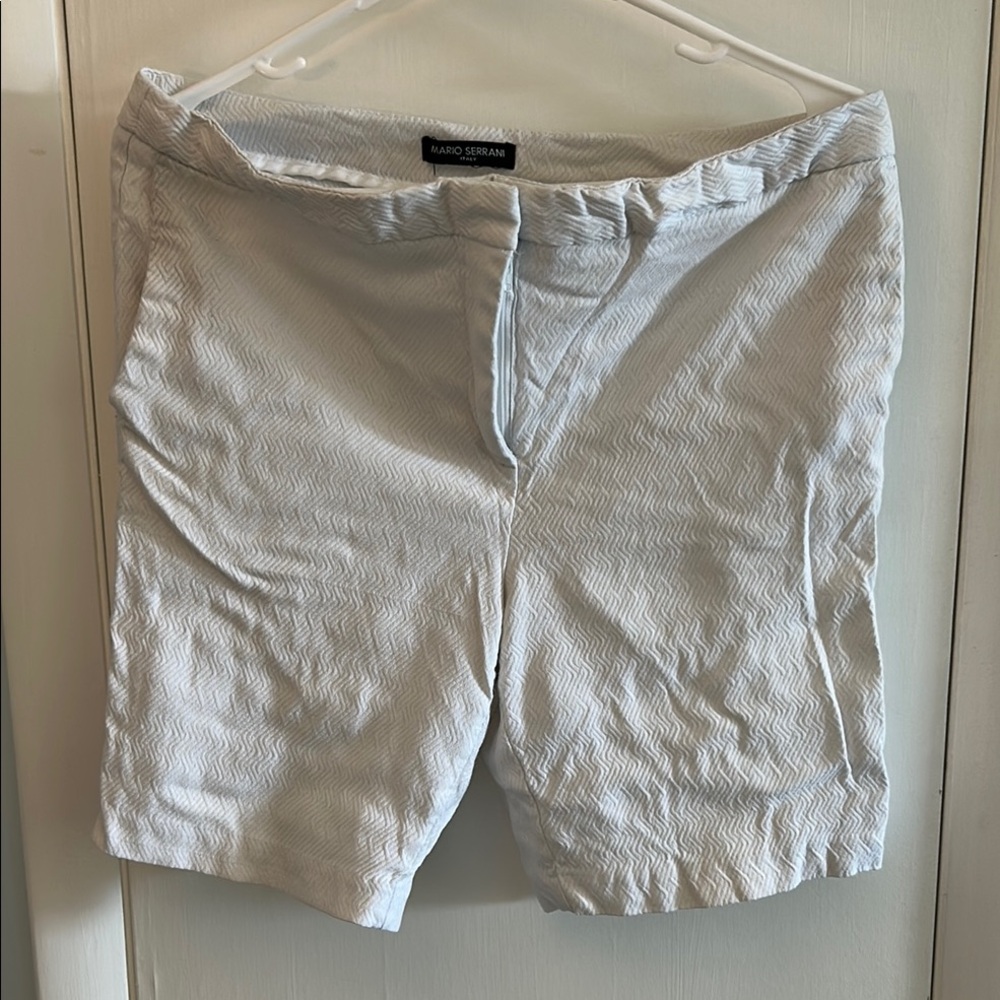 Mario Serrani Flat Front Shorts